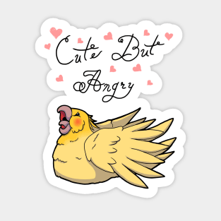 Cute But Angry (Yellow tiel) Sticker